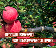 陕北宜川的果农们是如何选择果树专用肥的？